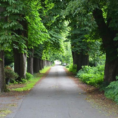 Wohnung Am Weserradweg Deesberg Buitenkant foto