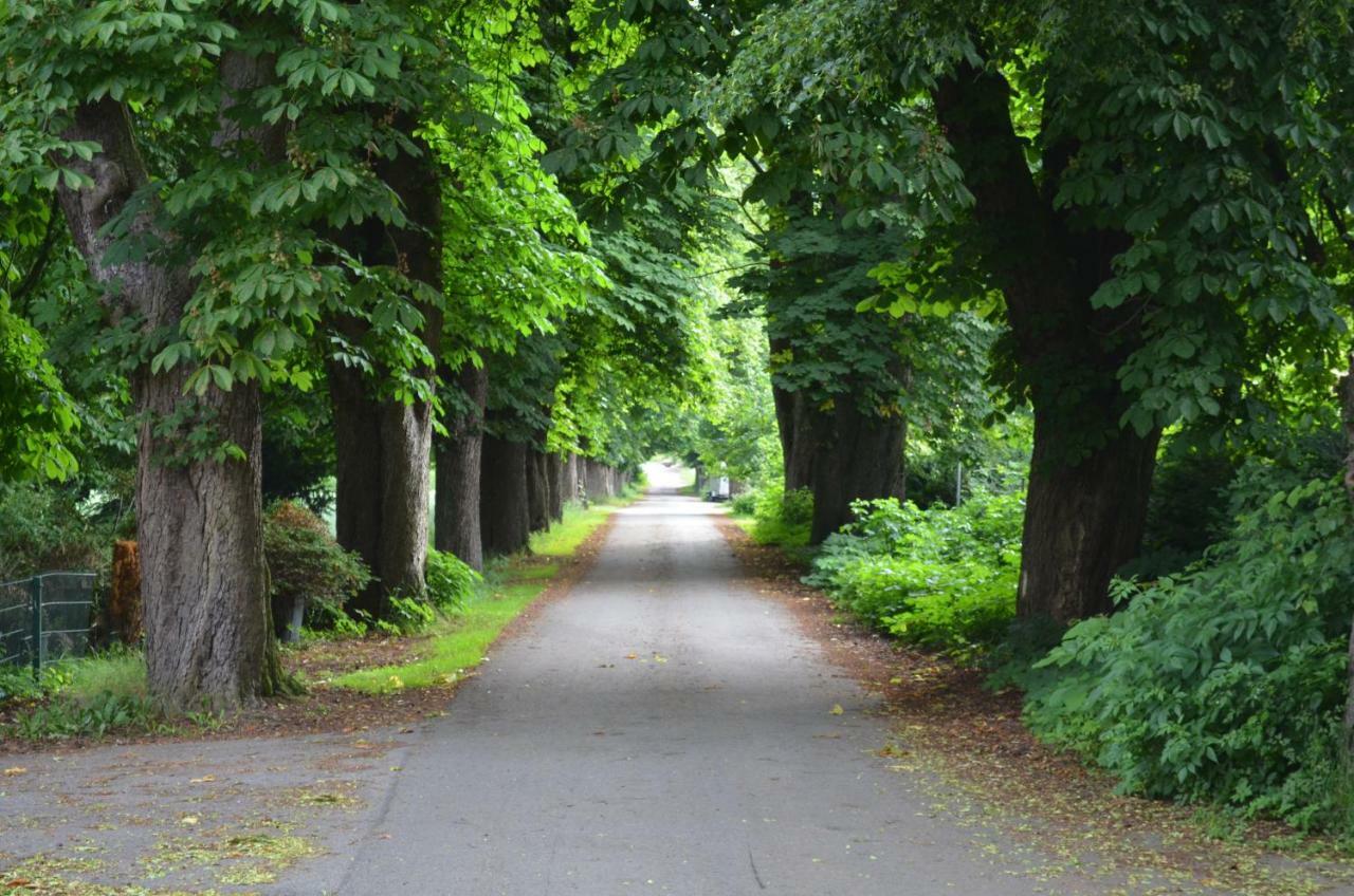 Wohnung Am Weserradweg Deesberg Buitenkant foto